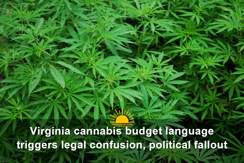 Marijuana leaves. (Pixabay/Creative Commons license)