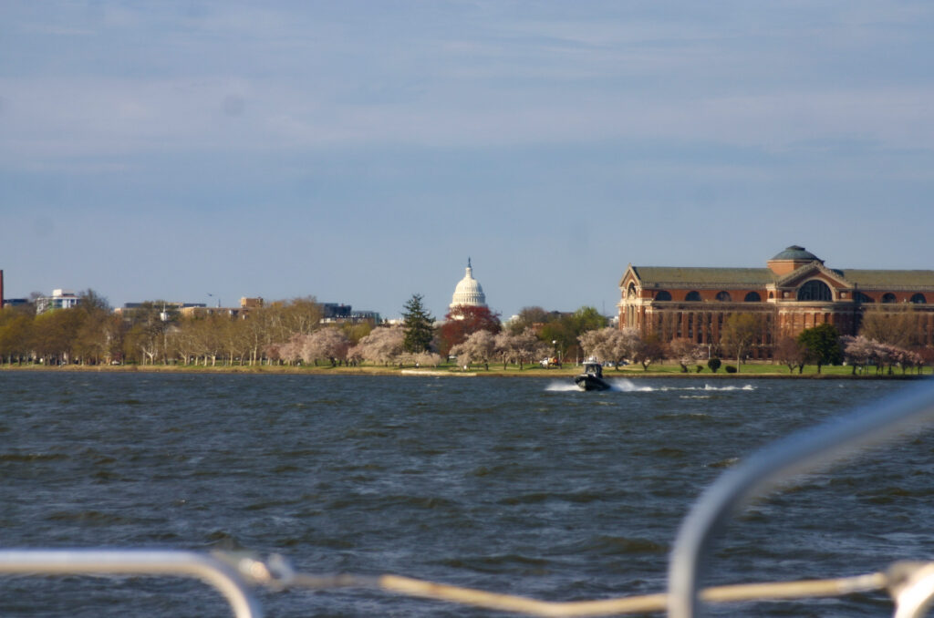 Conservation groups raise alarm as Potomac River named most endangered in the nation