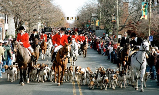 Marty Martinez will soon require hunting with dogs to be permitted