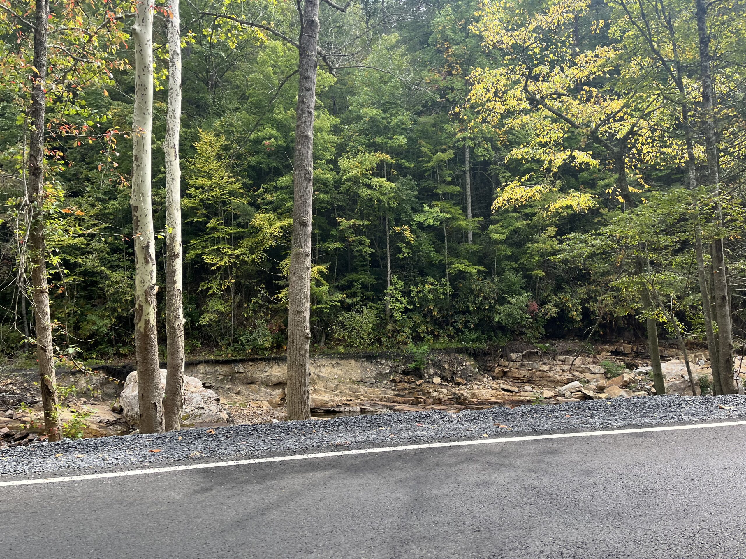 Hurricane Helene reshaped parts of Southwest Virginia’s landscape. New adaptations are underway.
