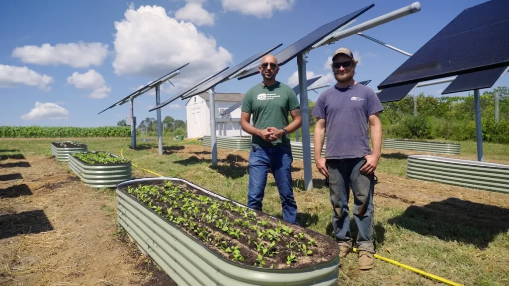 Can farmland thrive with solar? This Virginia nonprofit is finding out.