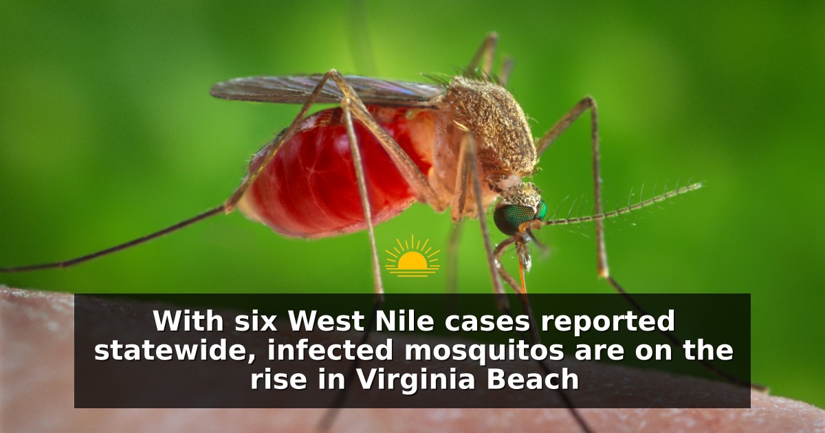 With six West Nile cases reported statewide, infected mosquitos are on the rise in Virginia Beach