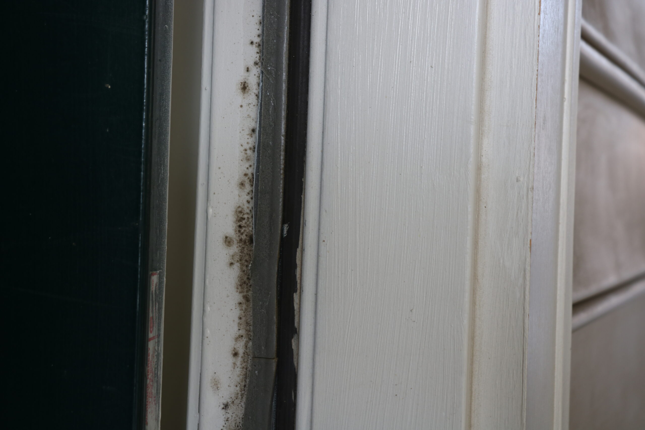 Prince George resident files lawsuit against apartment management over mold