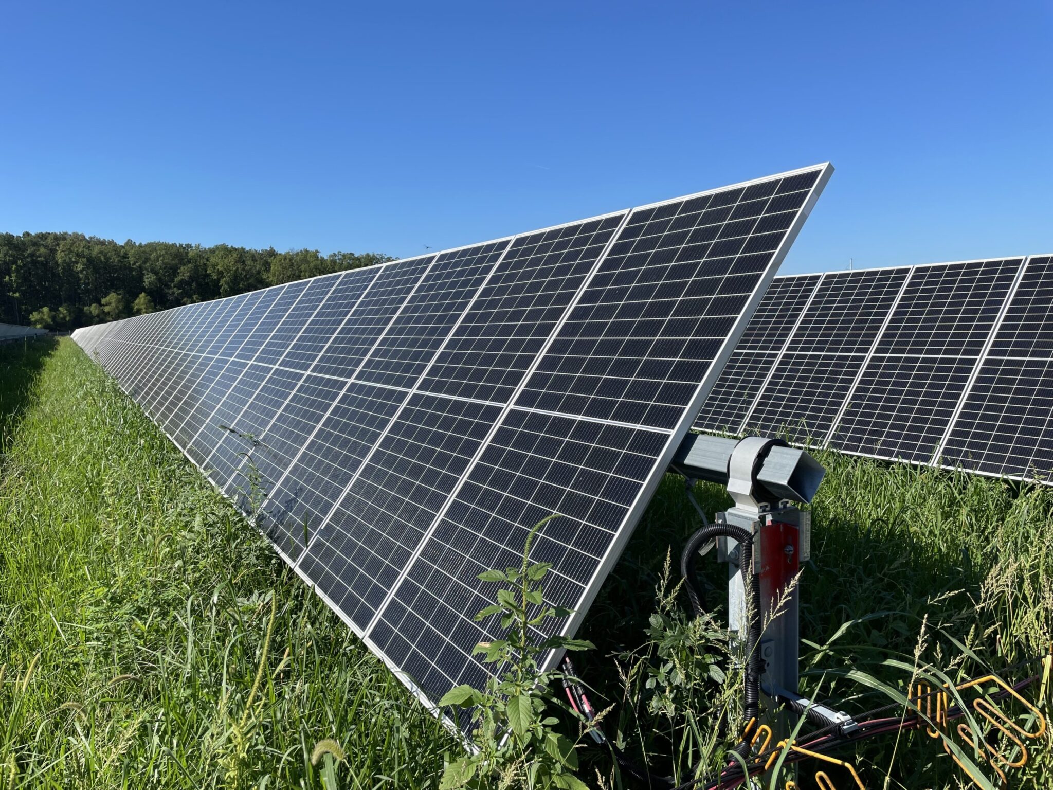 Virginia’s prime agricultural and forest land considered for solar