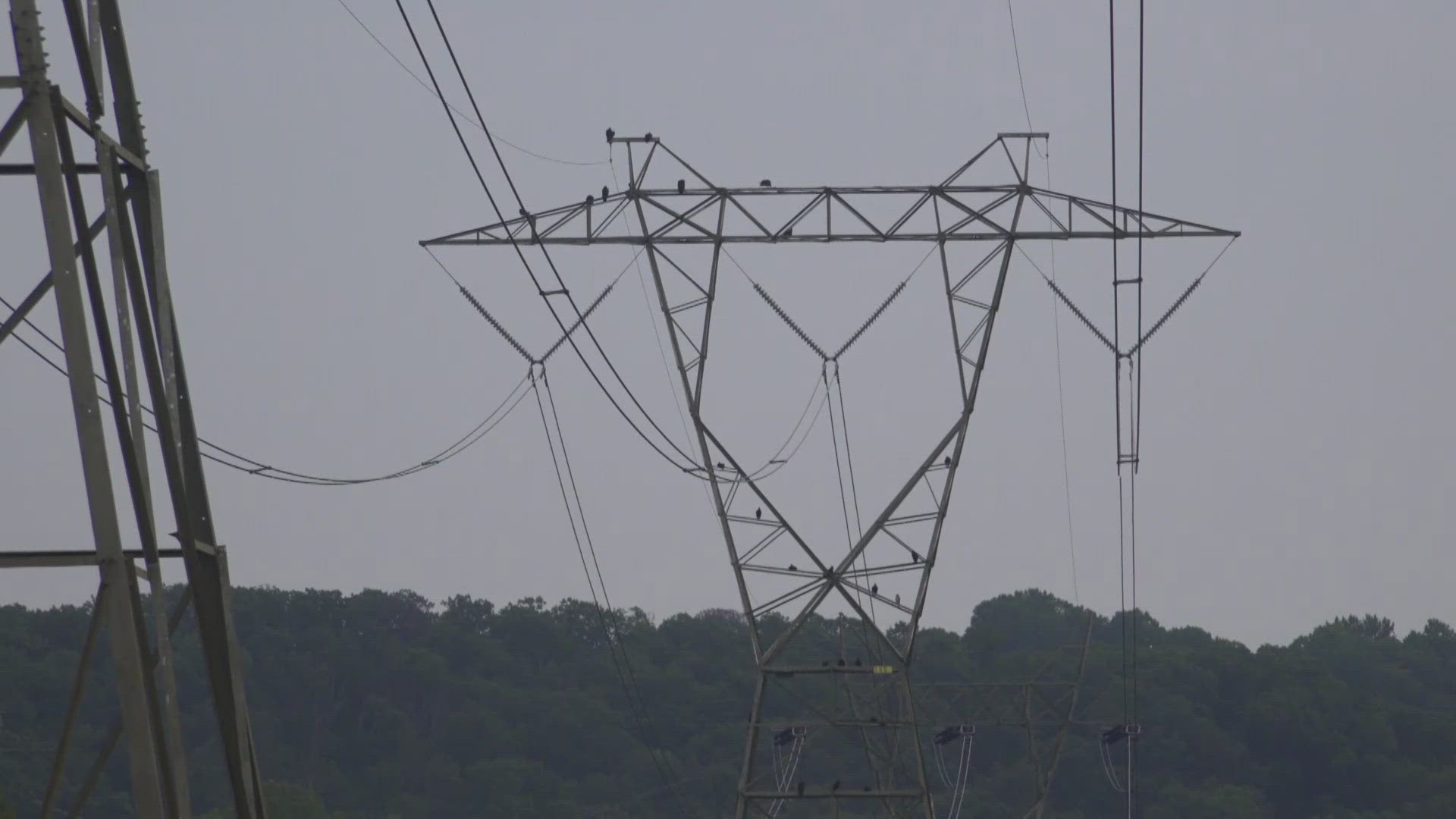 SCC hearing examiner opposes undergrounding power lines