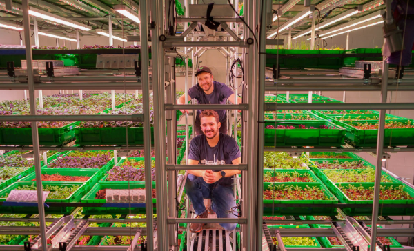 Area 2 Farms Establishes Indoor Arlington County Farm, Creating 30 New Jobs