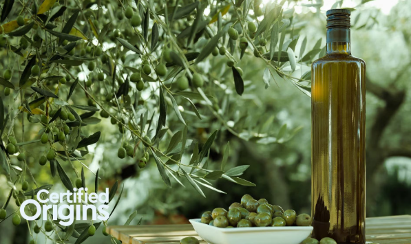 Certified Origins to Invest $25 million to Establish First U.S. Olive Oil Production Facility in City of Newport News