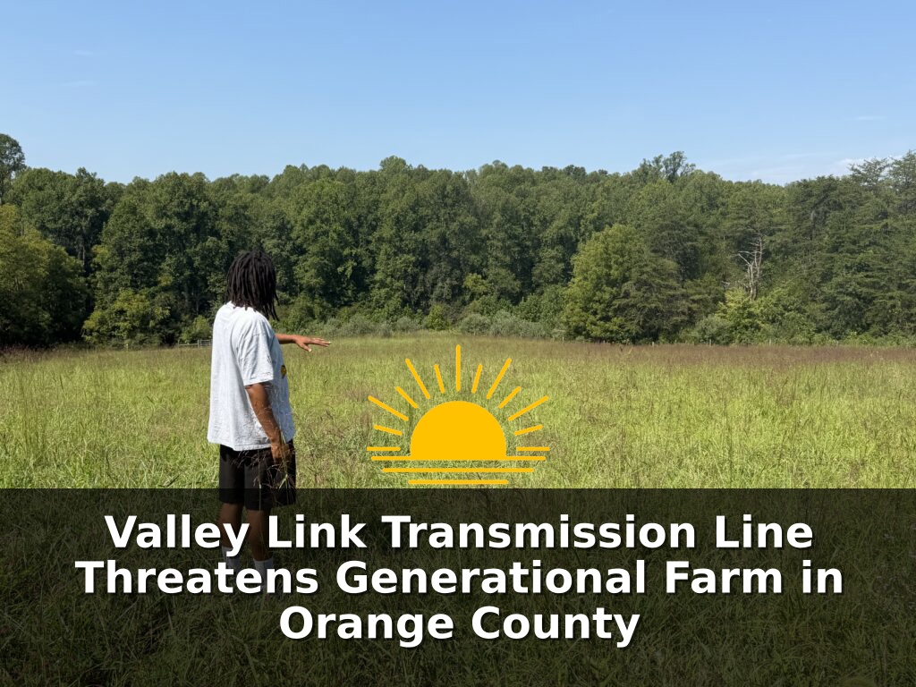 Michael Carter Jr. walks through a pasture on his family’s farmland in Orange County, Va. (Photo by Shannon Heckt/Virginia Mercury)