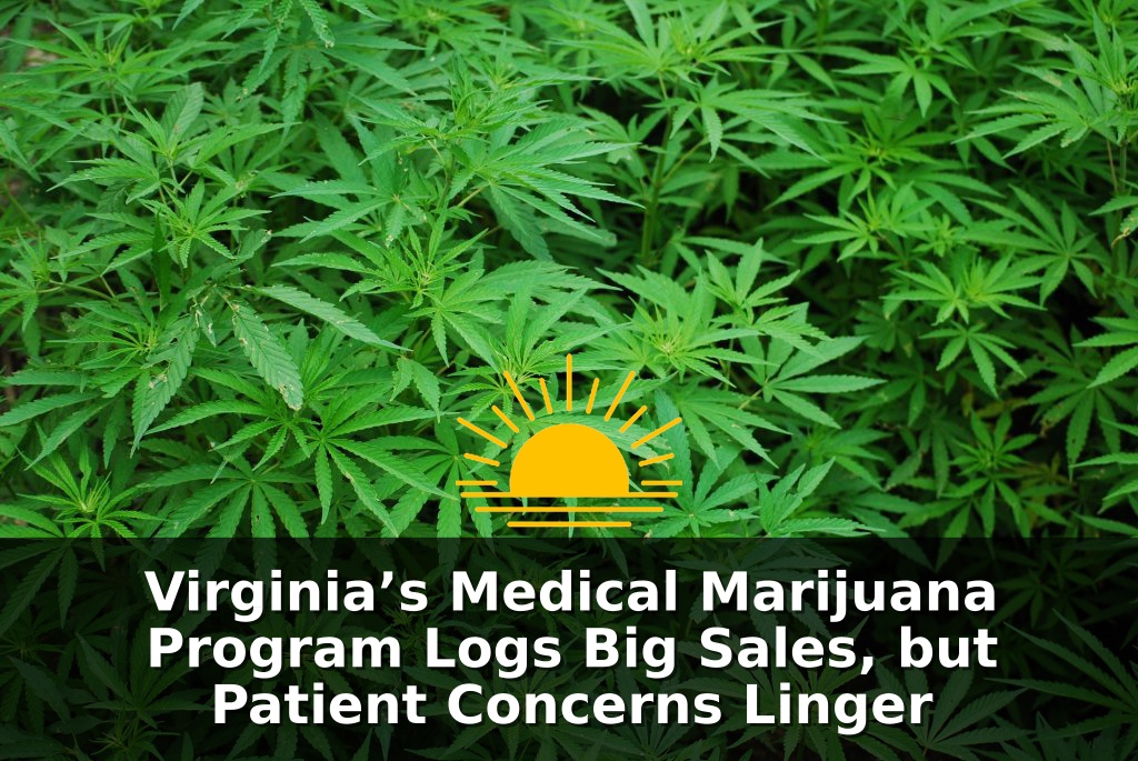 Marijuana leaves. (Pixabay/Creative Commons license)
