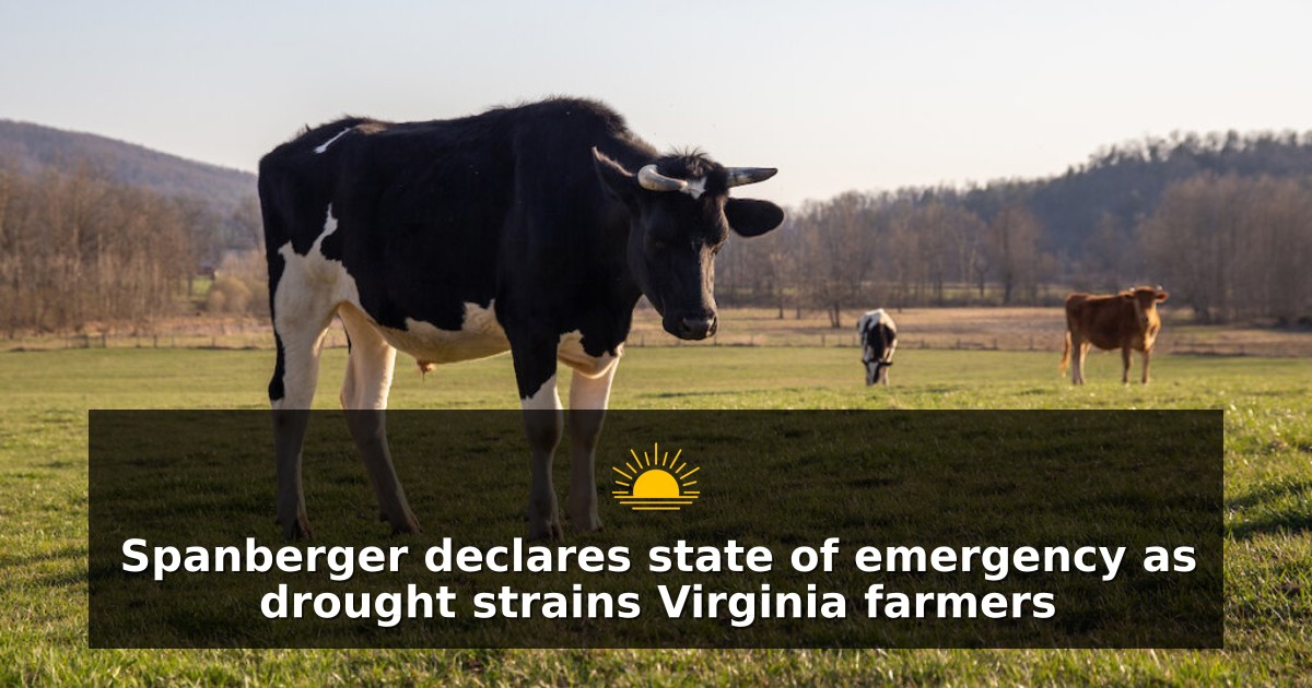 Spanberger declares drought emergency to speed hay deliveries for Virginia livestock