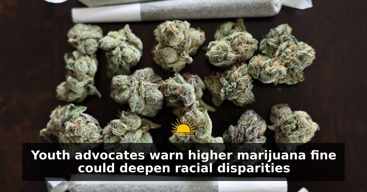 Youth advocates warn higher marijuana fine could deepen racial disparities