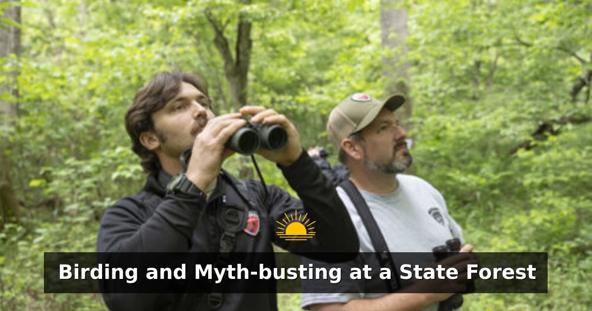 Birding and Myth-busting at a State Forest