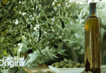 Certified Origins to Invest $25 million to Establish First U.S. Olive Oil Production Facility in City of Newport News
