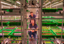 Area 2 Farms Establishes Indoor Arlington County Farm, Creating 30 New Jobs