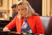 Virginia Democrats Kill Car Tax Credit before Senate panel