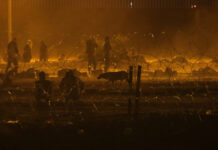 U.S. House Republicans kick off new session with border security push