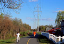 Regulator approves electricity transmission line, towers in Alexandria to serve one data center