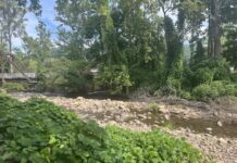 Hurricane Helene reshaped parts of Southwest Virginia’s landscape. New adaptations are underway.