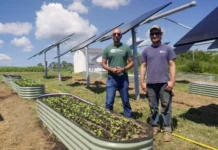 Can farmland thrive with solar? This Virginia nonprofit is finding out.