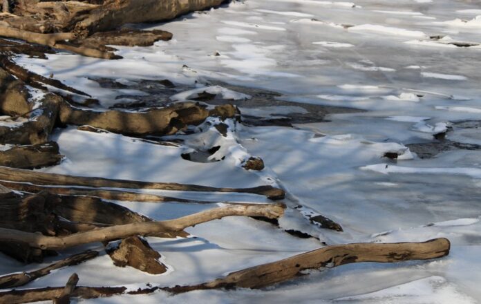 The frozen Potomac River. (Photo by Sarah Vogelsong/Virginia Mercury)