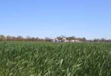 Over 80% of Virginia experiencing severe drought conditions