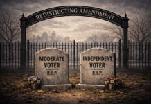 Amendment to Decide the Relevance of Moderate Voters in Virginia