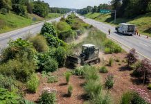 Virginia Governor Signs Bill Requiring Invasive Species Management on Highways
