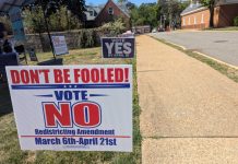 The sheer waste of Virginia’s redistricting referendum staggers the conscience