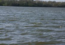Virginia senators request special session to act on ’deeply alarming’ groundwater report Waves on Potomac River March 30, 2026. (Photo by Shannon Heckt/Virginia Mercury)