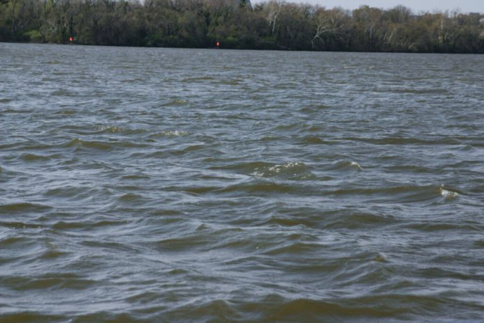 Waves on Potomac River March 30, 2026. (Photo by Shannon Heckt/Virginia Mercury)